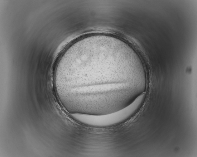 X0000115121172200911171321