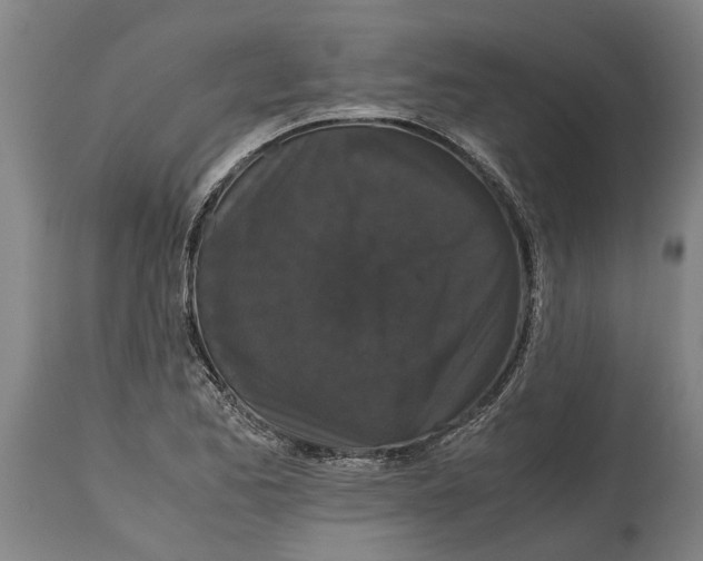 X0000115121173200911171321