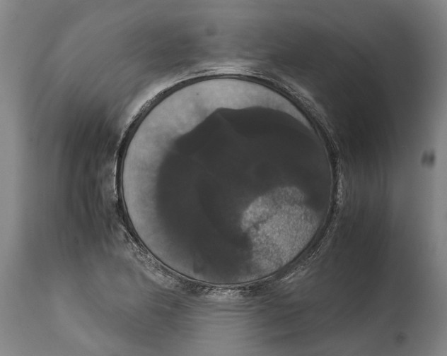 X0000115121174200911171321