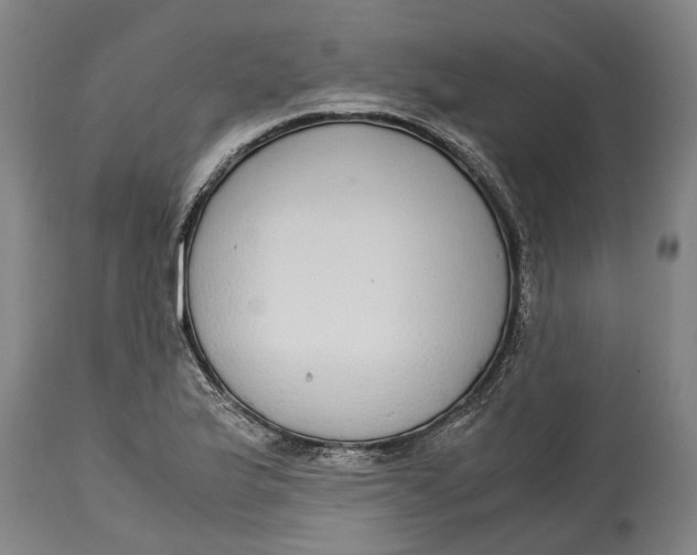X0000115121175200911171321