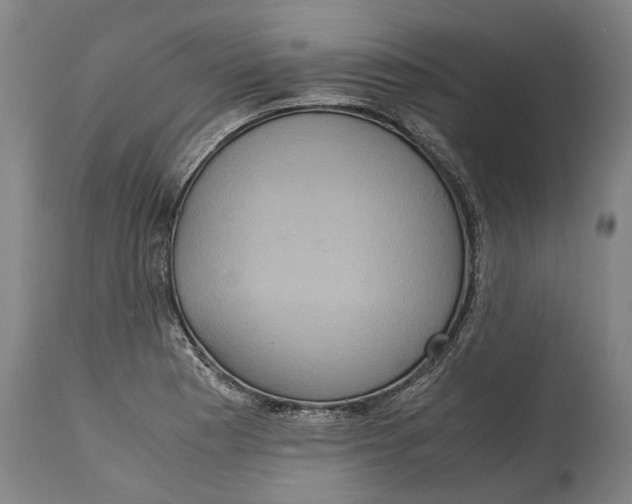 X0000115121177200911171321