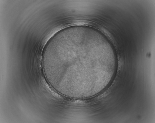 X0000115121178200911171321