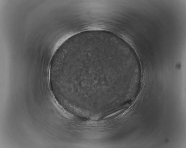 X0000115121179200911171321