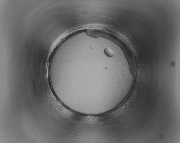 X0000115121180200911171321