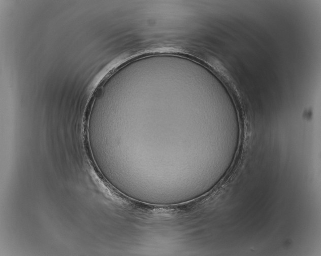 X0000115121181200911171321