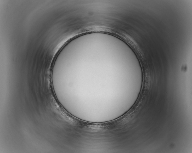 X0000115121182200911171321
