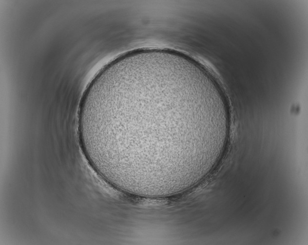 X0000115121183200911171321