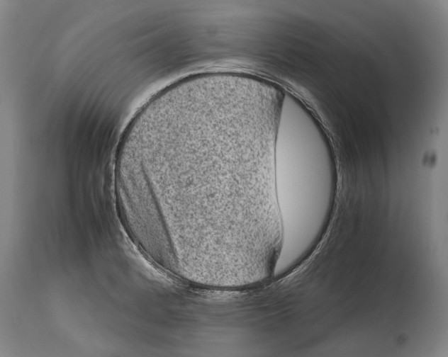 X0000115121184200911171321