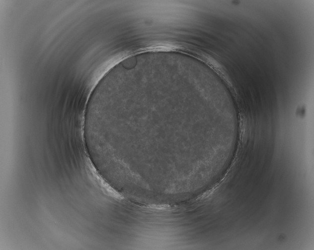 X0000115121186200911171321
