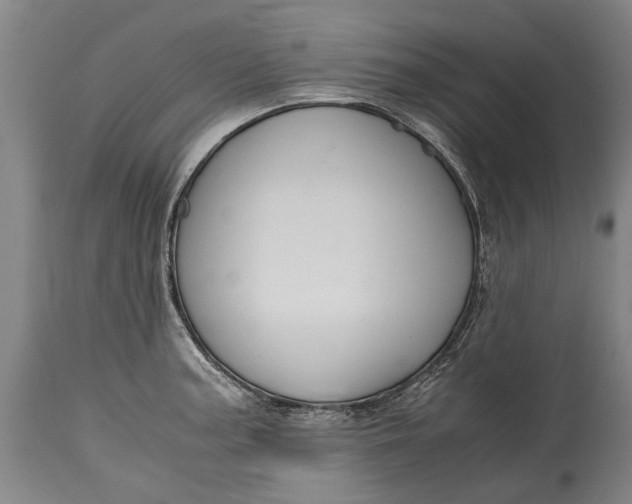 X0000115121187200911171321
