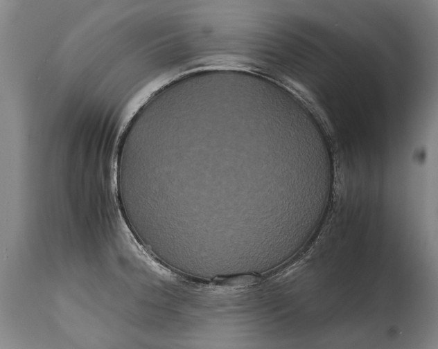 X0000115121188200911171321
