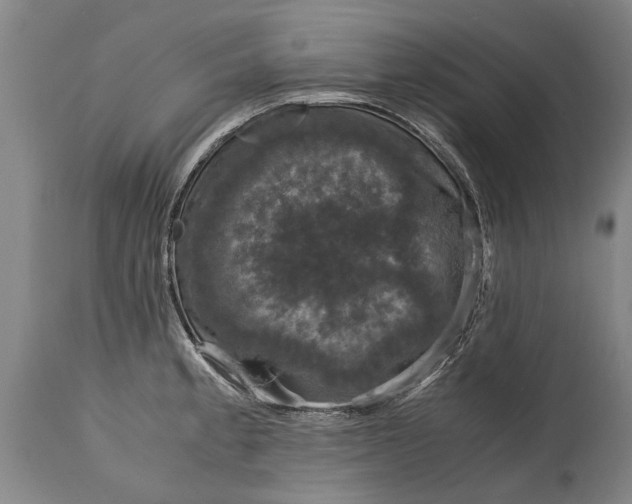 X0000115121189200911171321