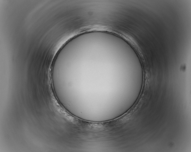 X0000115121190200911171321