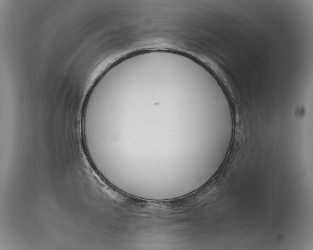 X0000115121191200911171321