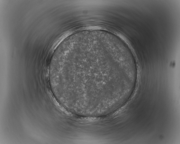 X0000115121193200911171321