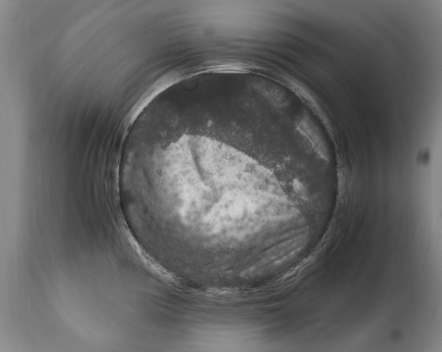 X0000115121194200911171321