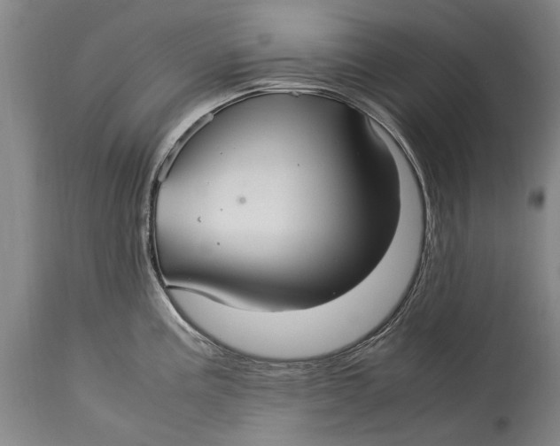 X0000115121195200911171321