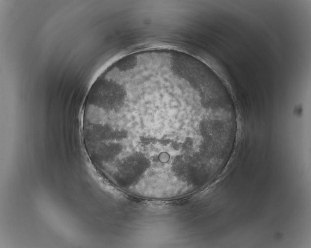 X0000115121198200911171321