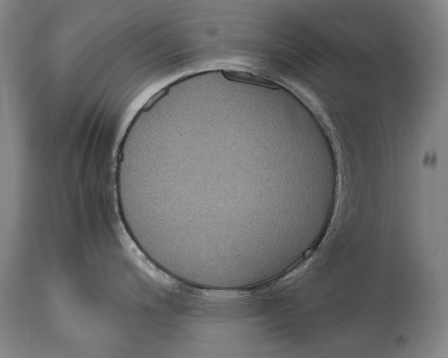 X0000115121200200911171321