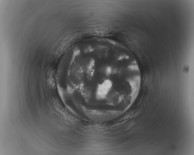 X0000115121202200911171320