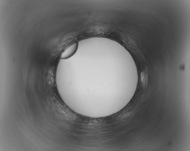 X0000115121203200911171320
