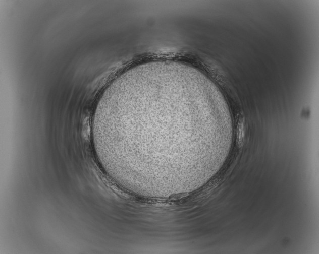 X0000115121204200911171320