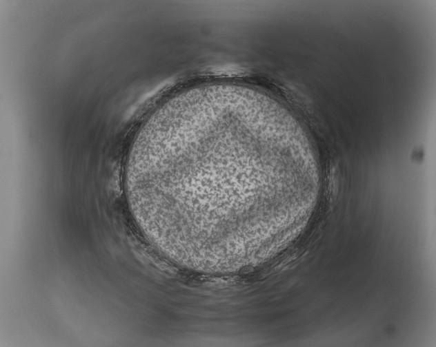X0000115121205200911171320