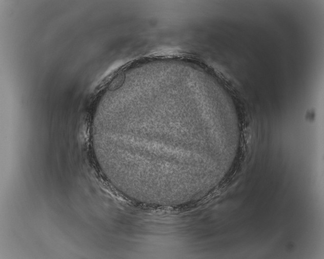 X0000115121206200911171320