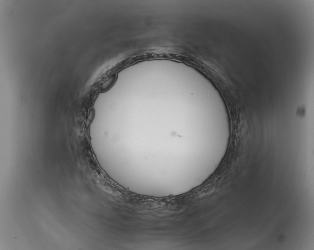 X0000115121207200911171320