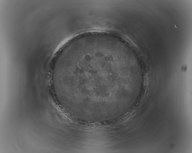 X0000115121208200911171320
