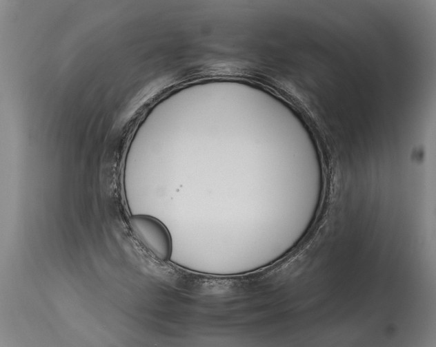 X0000115121211200911171320