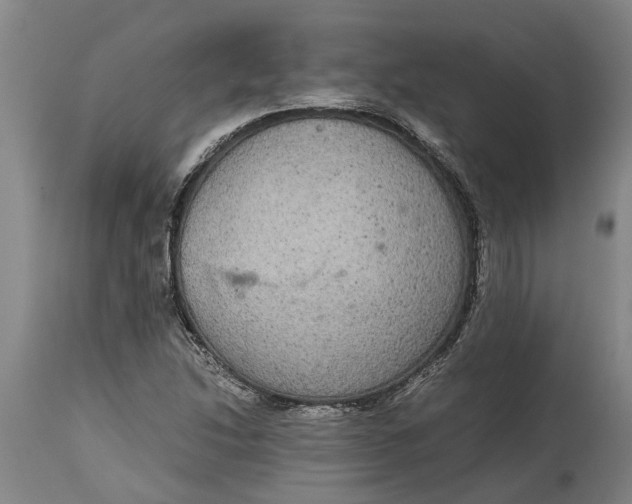 X0000115121214200911171320