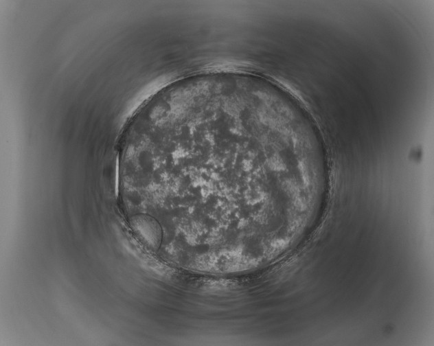 X0000115121219200911171320
