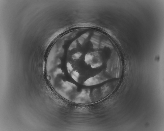 X0000115121221200911171320