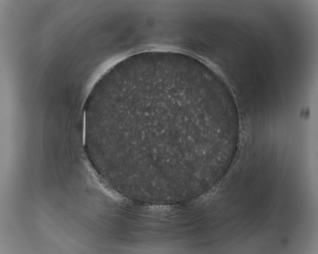 X0000115121223200911171320