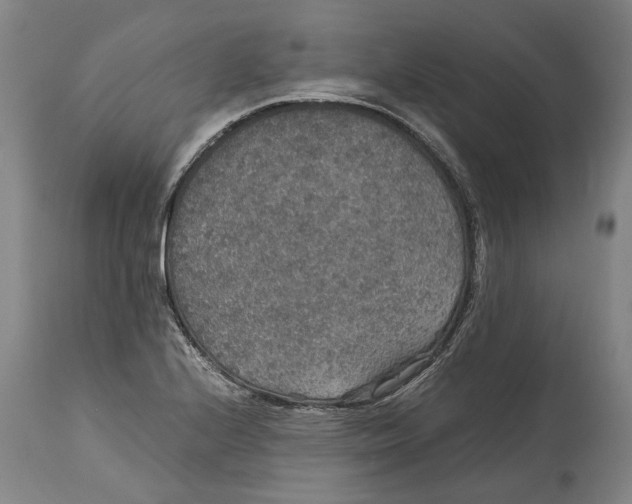 X0000115121224200911171320