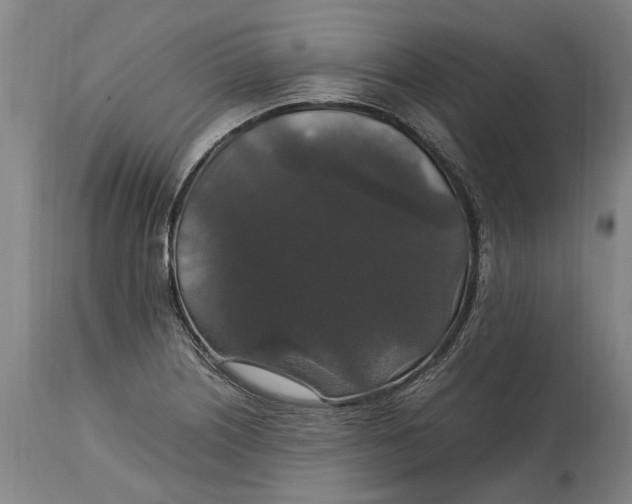 X0000115121226200911171320