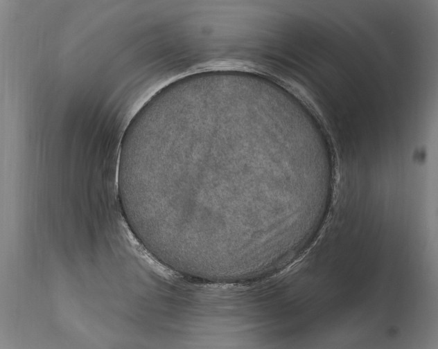 X0000115121228200911171320