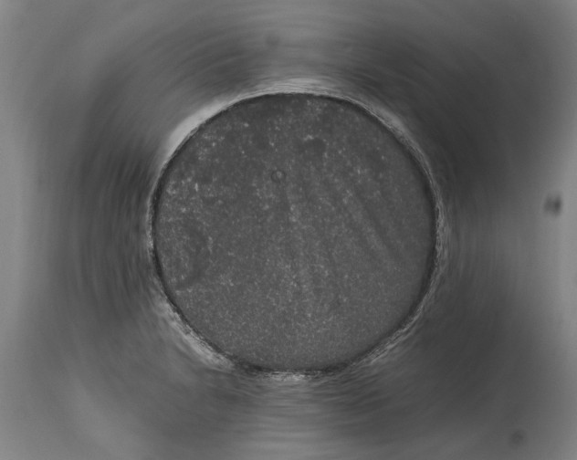 X0000115121230200911171320