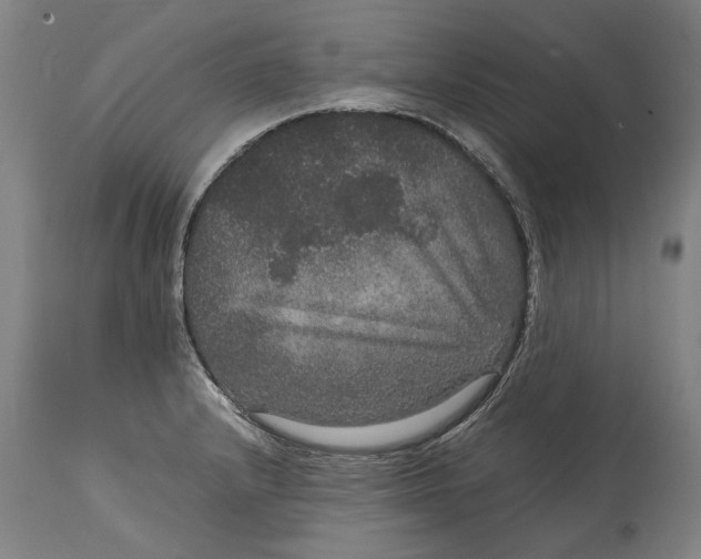 X0000115121232200911171320