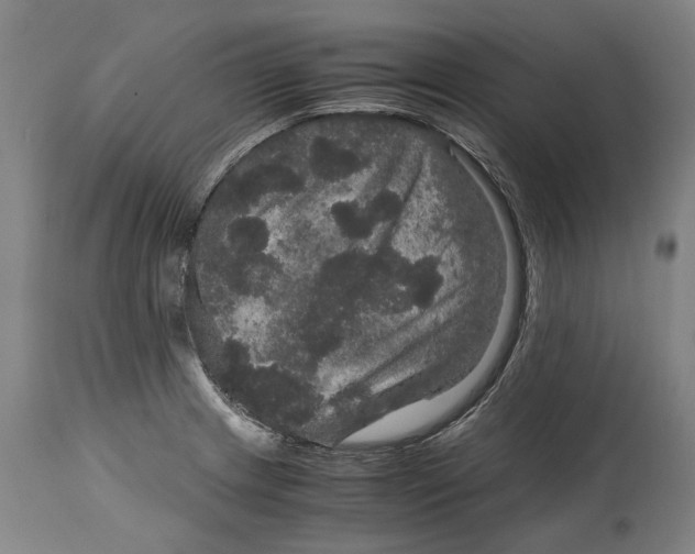 X0000115121233200911171320