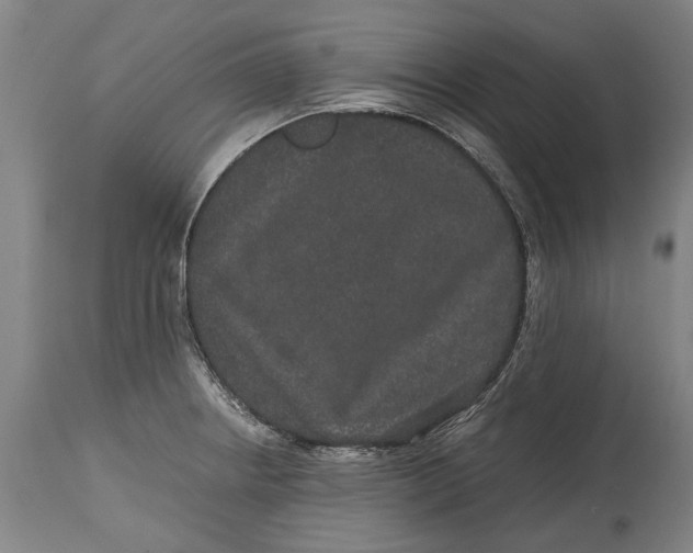 X0000115121234200911171320