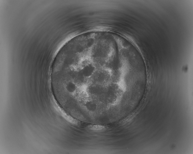 X0000115121235200911171320