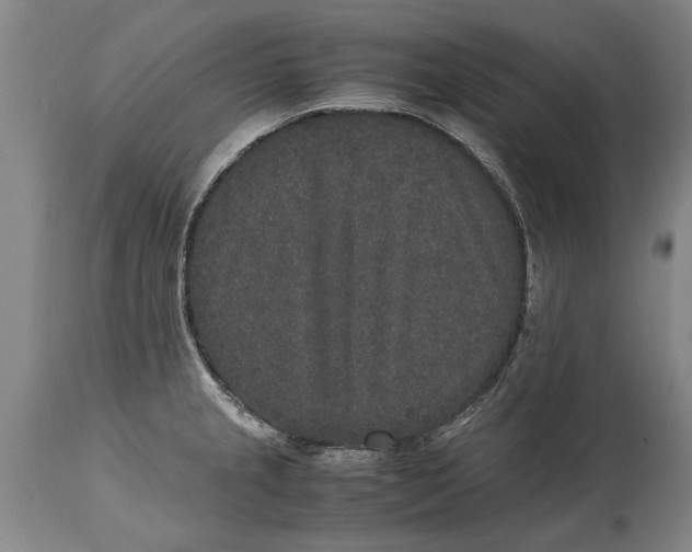 X0000115121237200911171320