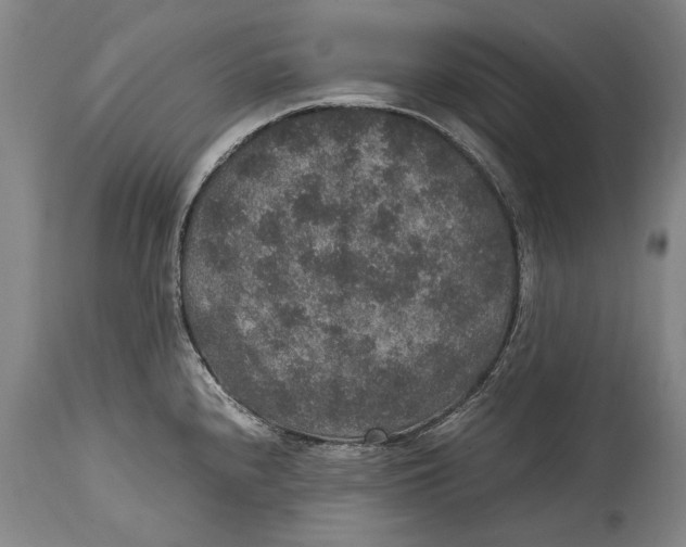 X0000115121240200911171321