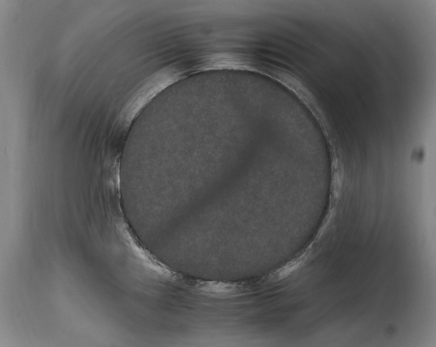 X0000115121241200911171321