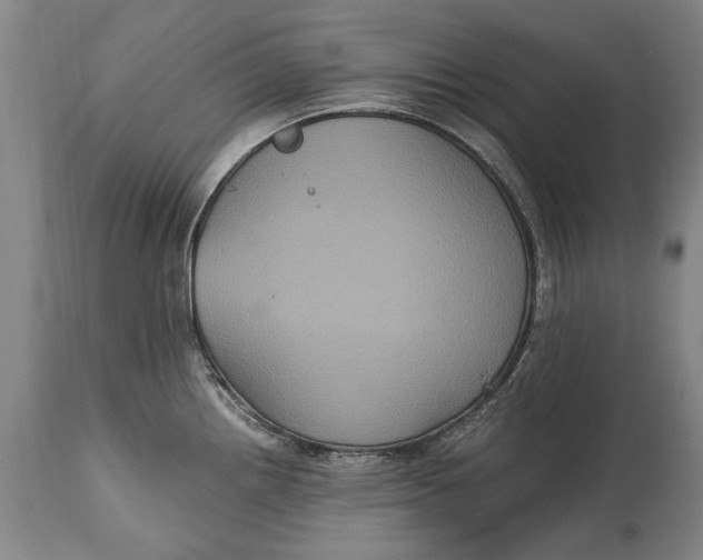 X0000115121242200911171321
