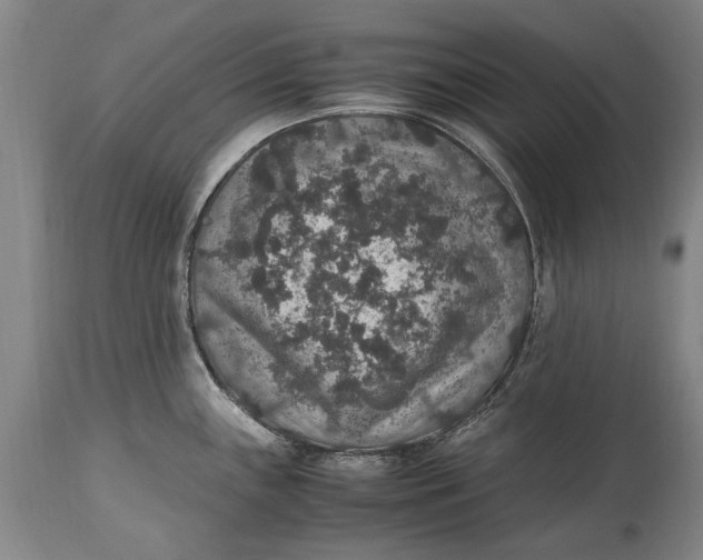 X0000115121243200911171321