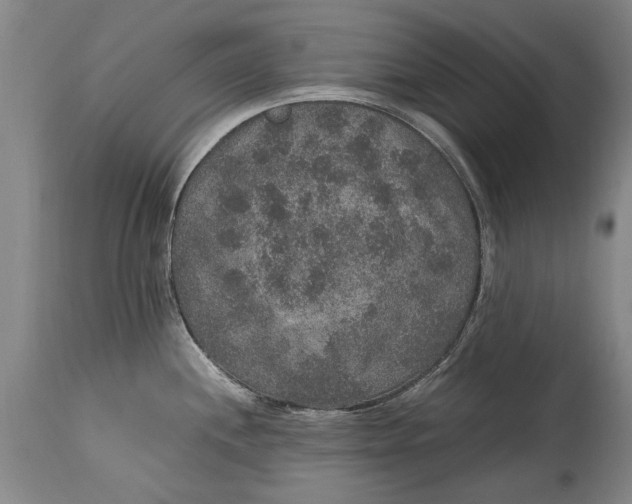 X0000115121244200911171321