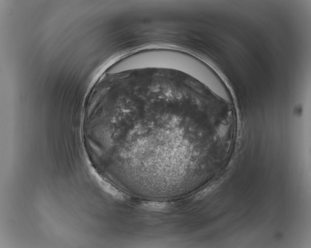 X0000115121245200911171321